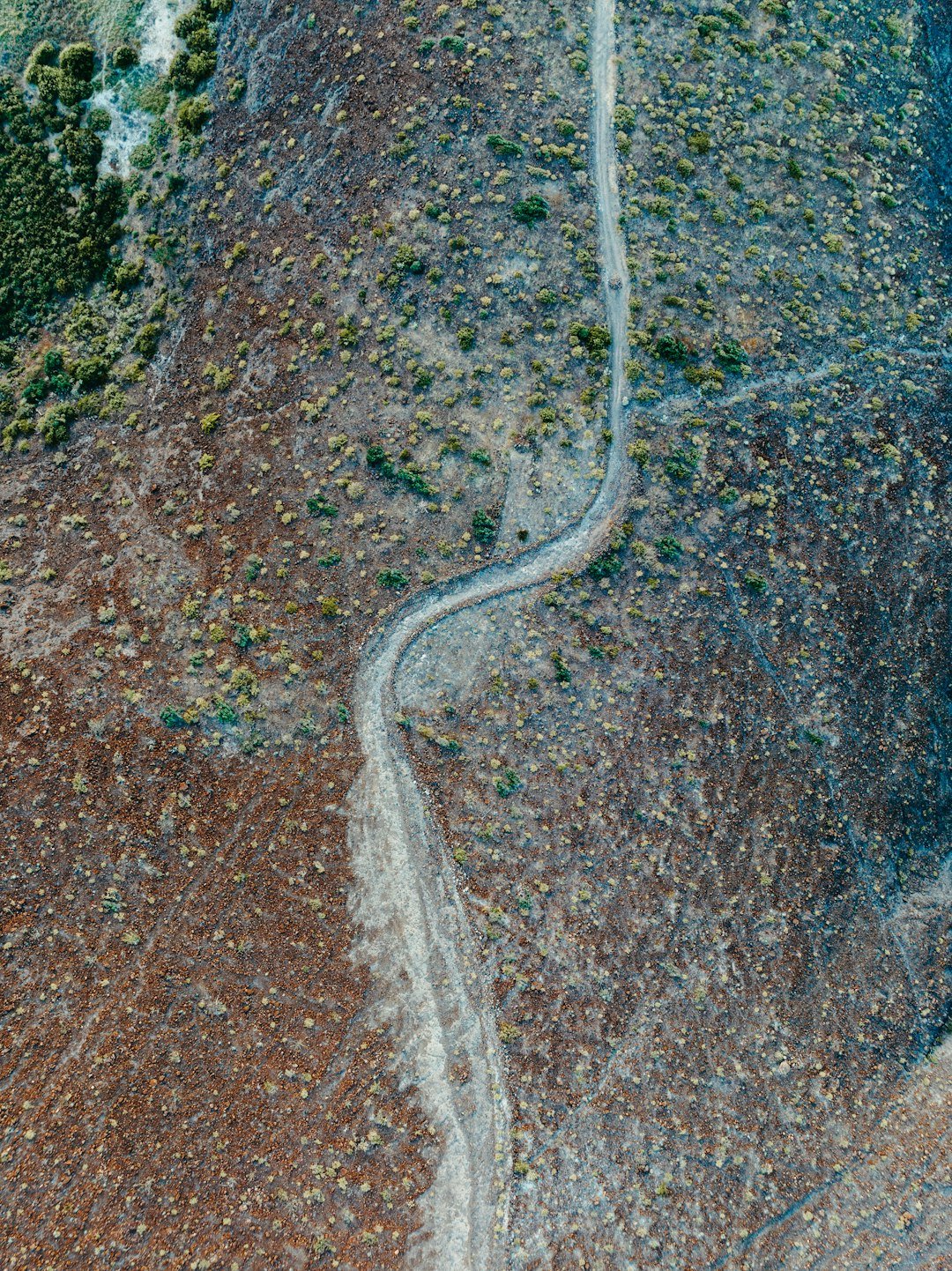 a-road-in-a-field-mraku56on6o