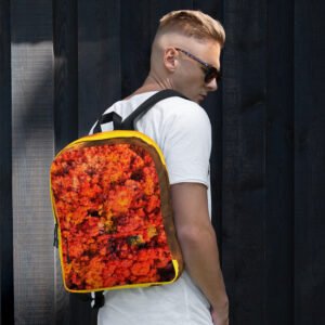 sac à dos couleurs d'automne