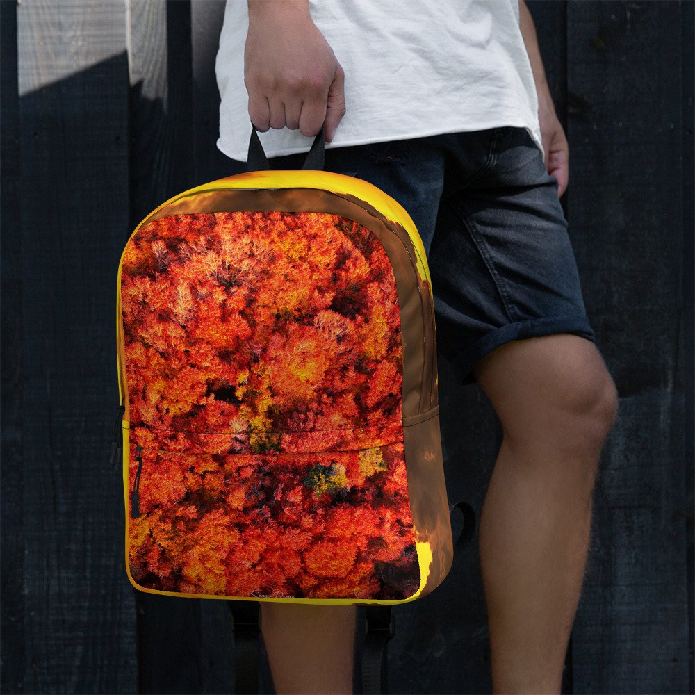 sac à dos couleurs d'automne sac à dos couleurs d'automne
