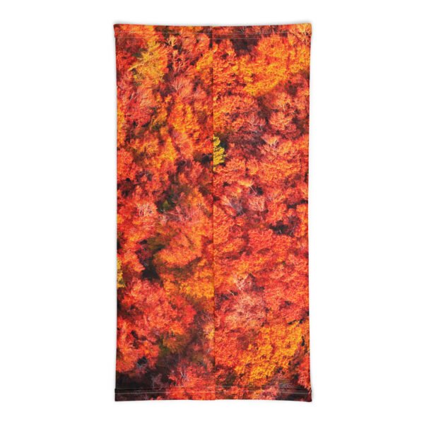 cache cou automne flamboyant