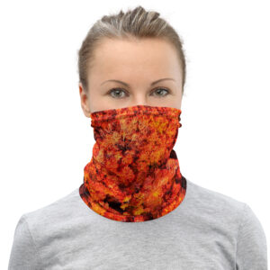 cache cou automne flamboyant