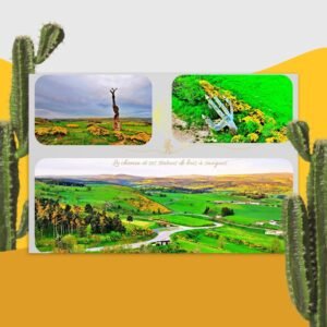 carte postale compostelle le chemin et ses statues de bois – saugues