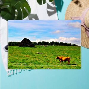 carte postale compostelle – le moulin de la folle — la pause des grands espaces