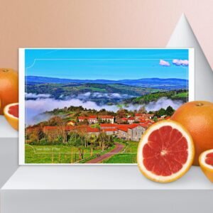 carte postale compostelle – saint didier d’allier